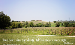 vineyard-quote